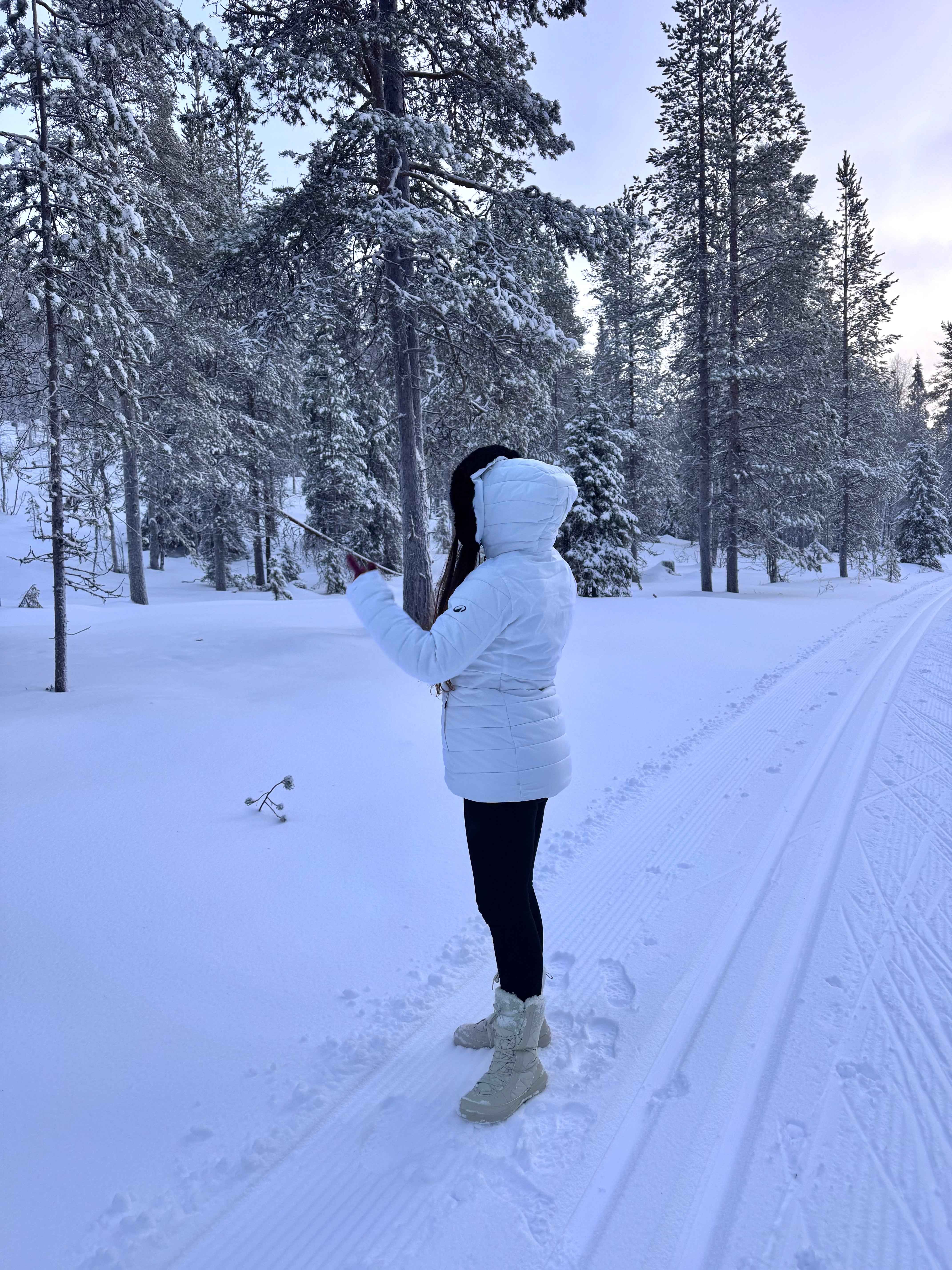 LEGGING POLAIRE LAPONIE